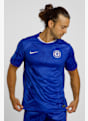 Nike FC Chelsea Home Replica Herren Fussballtrikot 25/26 Blau 40807 1