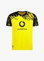 PUMA Borussia Dortmund Home Replica maillot de football hommes 25/26 Jaune 41139 6