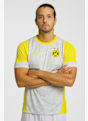 PUMA Borussia Dortmund Training t-shirt hommes 25/26 Argent 41197 1