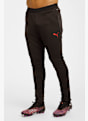 PUMA AC Milano Training pantaloni della tuta uomo Nero 41663 1