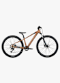 SCOTT Roxter 600 26 mountainbike bambini Marrone 55949 1