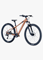 SCOTT Roxter 600 26 mountainbike bambini Marrone 55949 3
