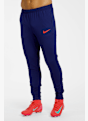 Nike Dri-FIT Strike Herren Trainerhose Blau 42516 1