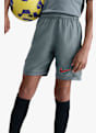 Nike Dri-Fit Academy 25 short bambini Grigio 55856 3