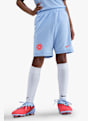 Nike Erling Haaland Academy Dri-FIT t-shirt short Blu 42539 3