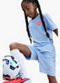 Nike Erling Haaland Academy Dri-FIT t-shirt short Bleu 42539 5