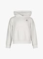 Jordan Brooklyn Fleece hoodie enfants Blanc 43175 1