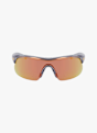 Nike Show X1 Sportbrille Grau 44828 2