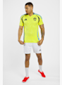 adidas Svezia Home Replica maglia da calcio uomo 2024 Giallo 43941 3
