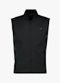 Dynafit Alpine Insulation gilet uomo Nero 43984 1