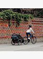 Thule Chariot Cab 2 rimorchio bicicletta Grigio 44175 6