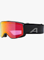ALPINA Venet Q-Lite Skibrille Schwarz 44854 1