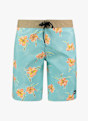 Quiksilver Everyday 20 Inch short de bain hommes Bleu 45866 4