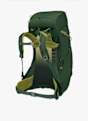 Osprey Ace 38 L sac à dos de randonnée enfants Vert 45871 4