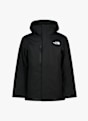 The North Face Freedom Insulated veste de ski hommes Noir 45463 1