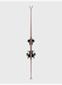 Voelkl Peregrine 80 Ski Set 25/26 Schwarz 56314 4