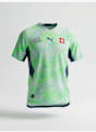 PUMA Suisse Away Authentic maillot de football hommes CDM 2026 Vert 46976 7