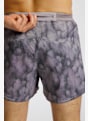 The North Face Sunriser 5" Print short hommes Gris 47655 6