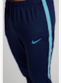 Nike Dri-Fit Strike Herren Trainerhose Blau 47859 5