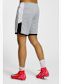 Nike Dri-FIT Academy 25 short hommes Gris 47843 3