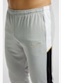 Nike Dri-FIT Academy 25 Herren Trainerhose Grau 47869 4