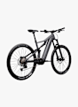 e-Framer Pro 29 E-Mountainbike Grau 47868 4