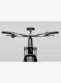 e-Framer SL 29 E-Mountainbike Grau 47878 7