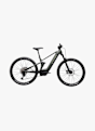e-Framer Sport 29 E-Mountainbike Grün 65886 1