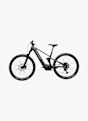 e-Framer Sport 29 E-Mountainbike Grün 65886 5