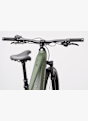 e-Framer Sport 29 E-Mountainbike Grün 65886 6