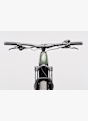 e-Framer Sport 29 e-mountainbike Verde 65886 7