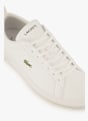 Lacoste Carna Base sneaker hommes Blanc 48231 6