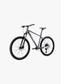 Stoke Zafran 27.5 Mountainbike Grau 48482 4
