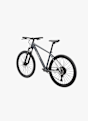 Stoke Zafran 27.5 Mountainbike Grau 48482 6