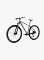 Stoke Mace 29 Mountainbike Grau 48481 4