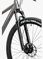 Stoke Mace 29 Mountainbike Grau 48481 8