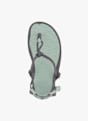 XERO Shoes Aqua Cloud sandali uomo Grigio 48671 3