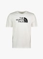 The North Face Evolution Half Dome t-shirt uomo Bianco 48757 1