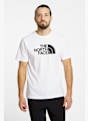 The North Face Evolution Half Dome t-shirt hommes Blanc 48757 2