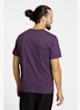 The North Face Evolution Simple Dome t-shirt hommes Gris 48777 3