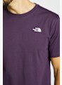 The North Face Evolution Simple Dome t-shirt hommes Gris 48777 4