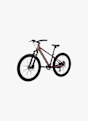 Stoke Timaxx 24 Kinder Mountainbike Rot 48942 4