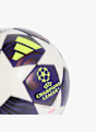 adidas UEFA Champions League Final Mini Ball Weiss 49076 4