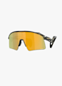 Oakley Stunt Wing occhiali sportivi Grigio 49322 1