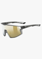 uvex skyryse Sportbrille Grau 49359 1