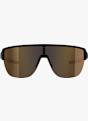 ALPINA Ram 2.0 Q-Lite lunettes de sport Noir 49382 2