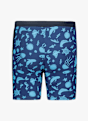 BEACH MOUNTAIN Jungen Badehose Blau 49430 2