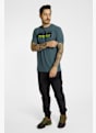 Dynafit Transalper Graphic t-shirt uomo Verde 49451 3