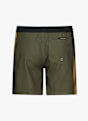 Quiksilver Everyday Holmes Volley 16" Jungen Badeshort Grün 49508 2