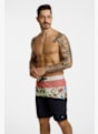 Quiksilver Surfsilk Straight 20" Herren Badeshort Multicolor 50014 1